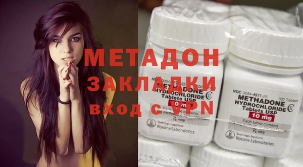 прущие грибы Белокуриха