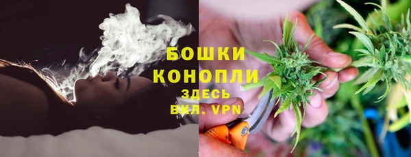 гидра Белоозёрский
