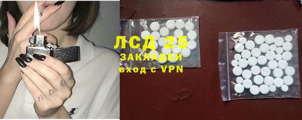 прущие грибы Белокуриха