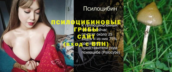 дживик Беломорск