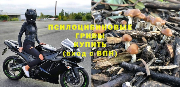 первитин Богородицк