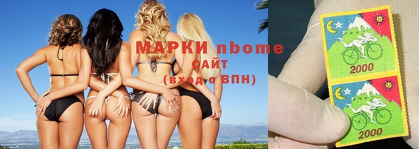 прущие грибы Белокуриха