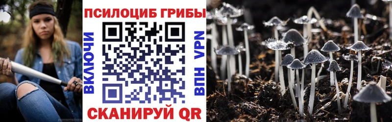 Галлюциногенные грибы Cubensis  Бирюч 